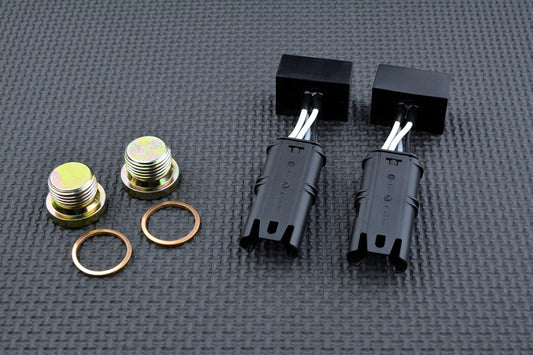 Euro5 O2 Sensor Eliminator Kit - BMW 2007 - 2010 HP2 & 2013 - 2020 R nineT (ALL)