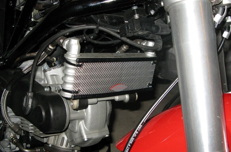 Stainless Oil Cooler Guard - Ducati GT1000 SC1000 1000S 1000SS 900SS 800SS 750SS