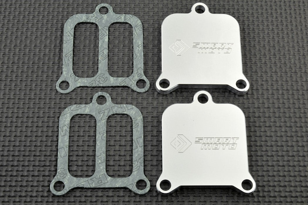 2019 + BMW S1000RR 2020 + M1000RR SMOG Block Off Plates PAIR AIS Eliminator Kit
