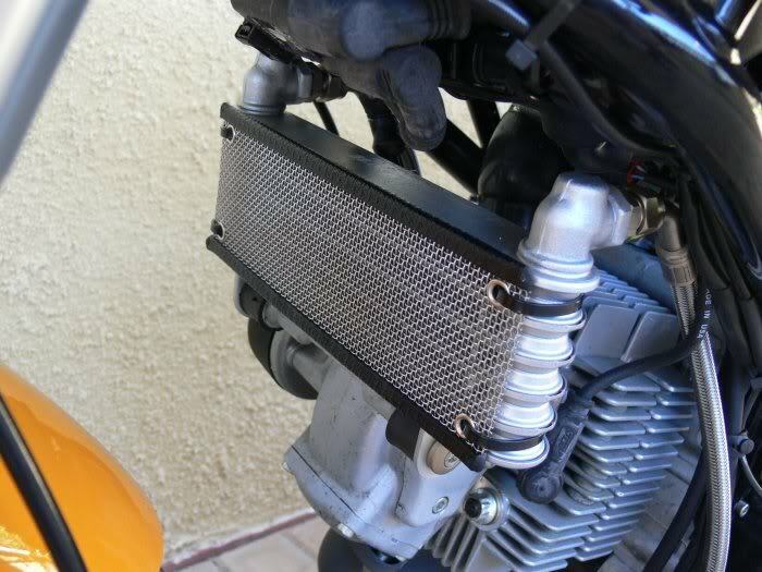 Stainless Oil Cooler Guard - Ducati GT1000 SC1000 1000S 1000SS 900SS 800SS 750SS